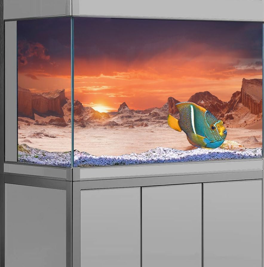 36X20IN Sun and Desert Moon Themed Reptile Habitat on Orange Durable Decorative Background, Terrarium Background with 10EVA Double-Sided Tape