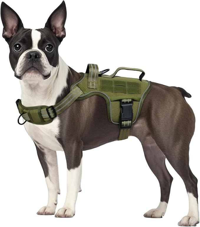Dog Harness, Tactical No Pull for Small Sized Dog with Handle | Breathable Soft Padded, Adjustable, Reflective, Molle System, Heavy Duty, No Choke for Walking Training, Green Small