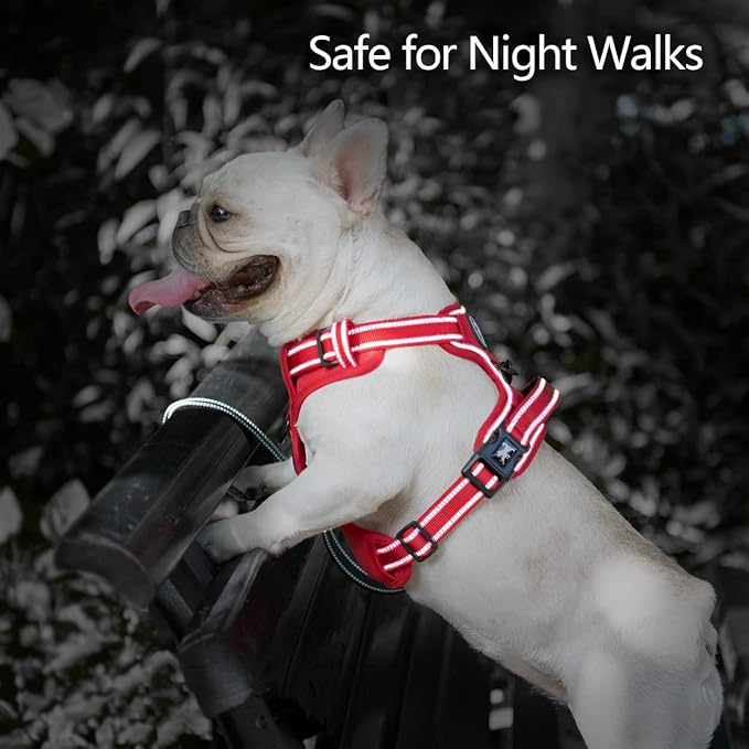 PoyPet No Pull Dog Harness, Reflective Vest with 2 Leash Clips & Handle | Lockable Neck Release Buckle, No Choke, Adjustable, Soft Padded, for Walking Training, Red Matching Trim, X-Large
