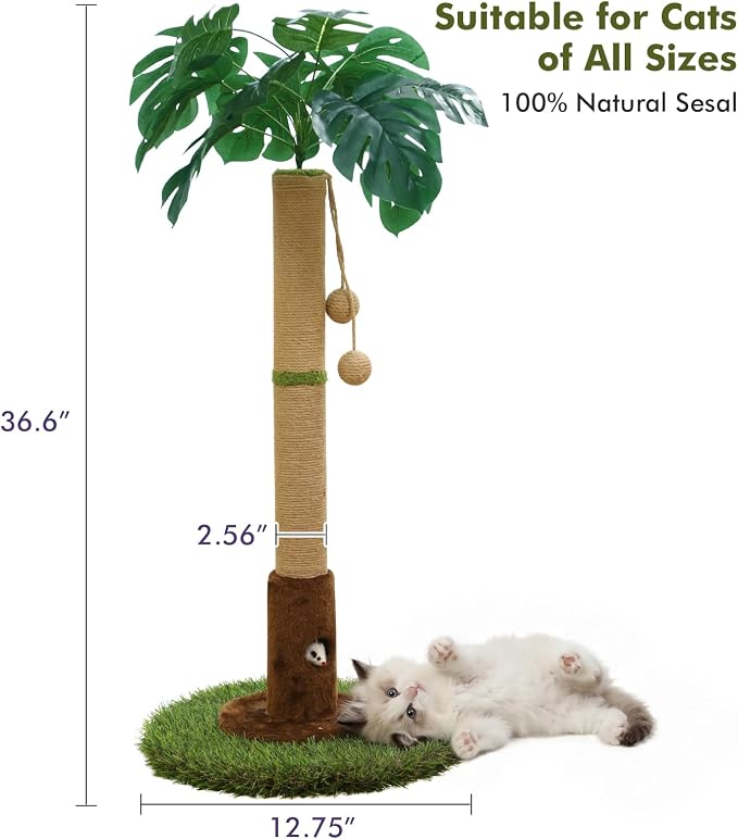 Woochpet Cat Scratching Post for Indoor Cats and Kitten - 35.43" Tall Cat Scratching Post with Sisal Rope,Palm Tree Cat Scratch Post with Hanging Ball