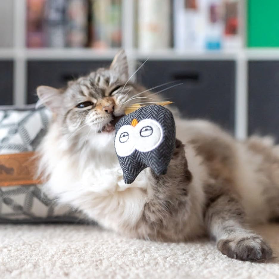 P.L.A.Y. Cute Cat Toys - Feline Frenzy Animal Critter Themed Catnip Filled Toy, Great for Adult Cats and Kittens - Machine Washable, Recycled Materials, Crinkles, Rattle (Hooti-Ful Owl, Set of 2)