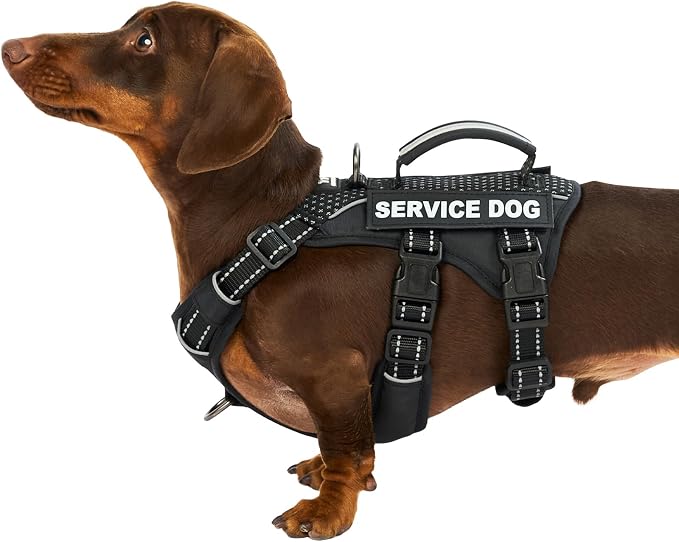 Service Dog Vest Harness, Escape Proof Harness with 6 Patches, No-Pull, Reflective Harness with Handle, Adjustable for Small to Large Dogs, for Training and Hiking (Black, S)