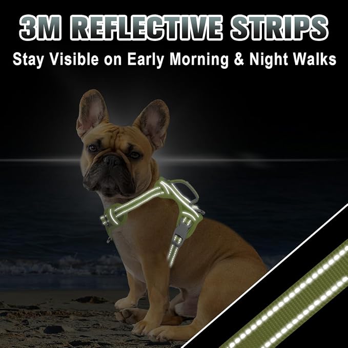 BARKBAY No Pull Dog Harness Large Reflective Dog Harness with Front Clip and Easy Control Handle for Walking Training Running with ID tag Pocket(Sunlight,XS)