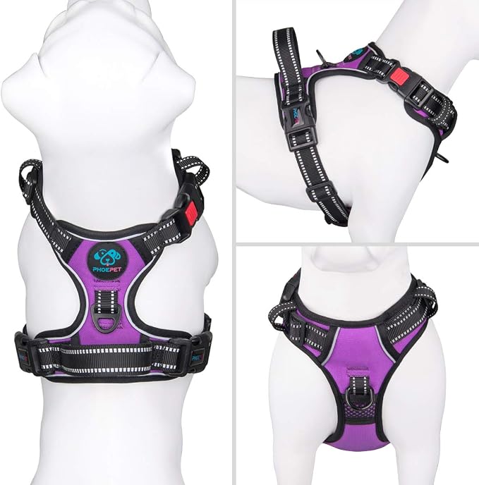 No Pull Dog Harnesses for Small Dogs Reflective Adjustable | Front Clip Vest with Handle 2 Metal Rings 3 Buckles [Easy to Put on & Take Off](XS, Purple)