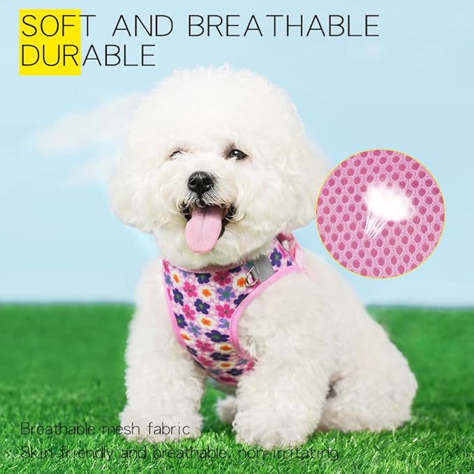 Step in Dog Harness and Leash Set, Flower Adjustable Easy Walk Puppy Harnesses, Soft Mesh No Pull Pet Vest Harness for Small Dogs and Cats(Flower, XXS)