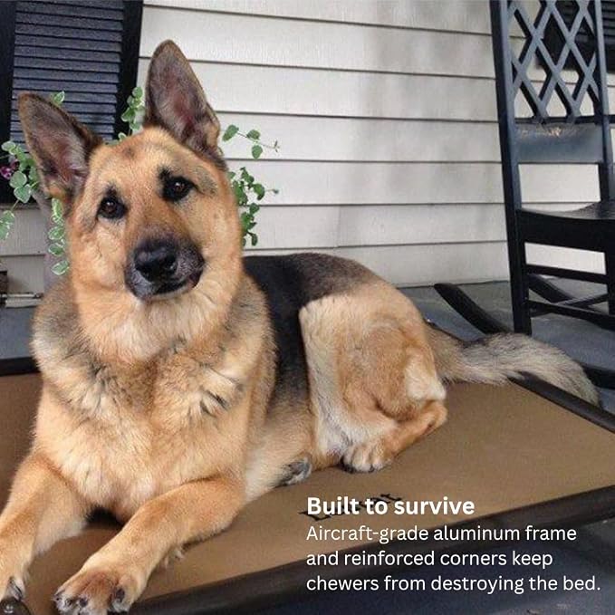 Kuranda Chewproof Elevated Dog Bed - Walnut PVC - 30" x 20" - Sunsure Textilene Outdoor Mesh - Birch