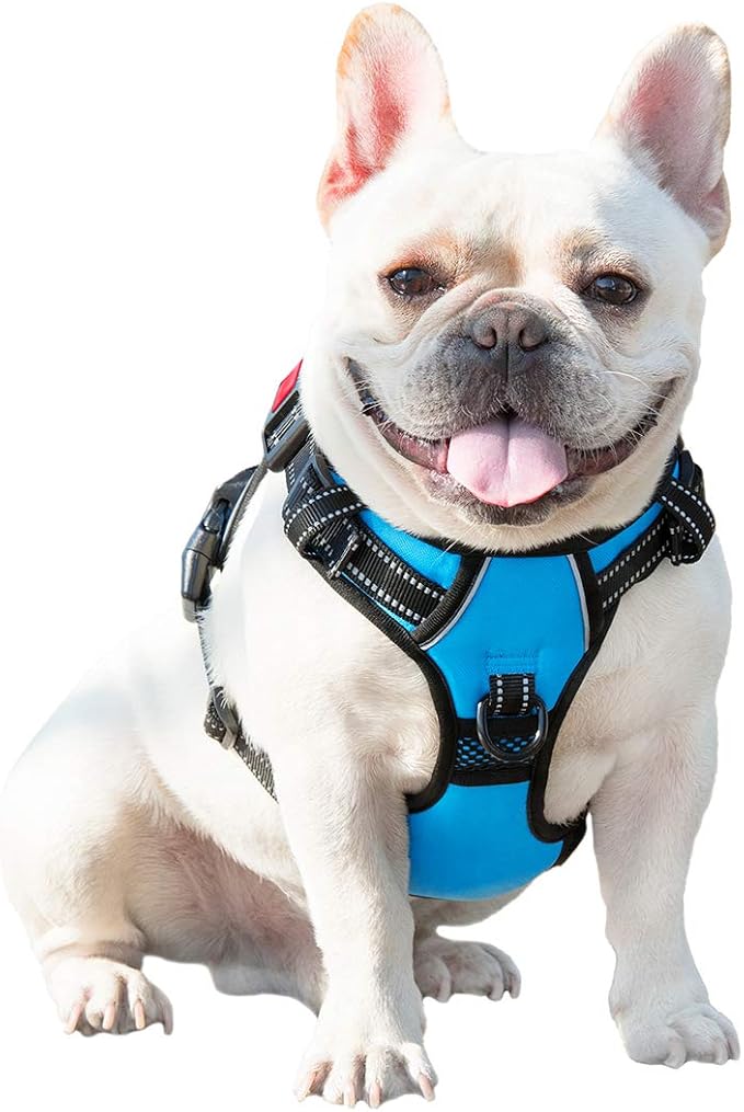 No Pull Dog Harnesses for Small Dogs Reflective Adjustable | Front Clip Vest with Handle 2 Metal Rings 3 Buckles [Easy to Put on & Take off](S, Blue)