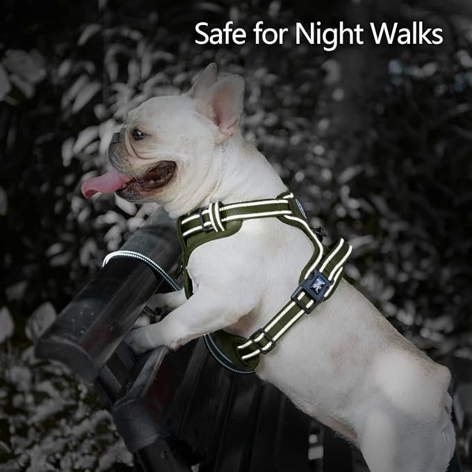 PoyPet No Pull Dog Harness, Reflective Vest with 2 Leash Clips & Handle | Lockable Neck Release Buckle, No Choke, Adjustable, Soft Padded, for Walking Training, Military Green, X-Small