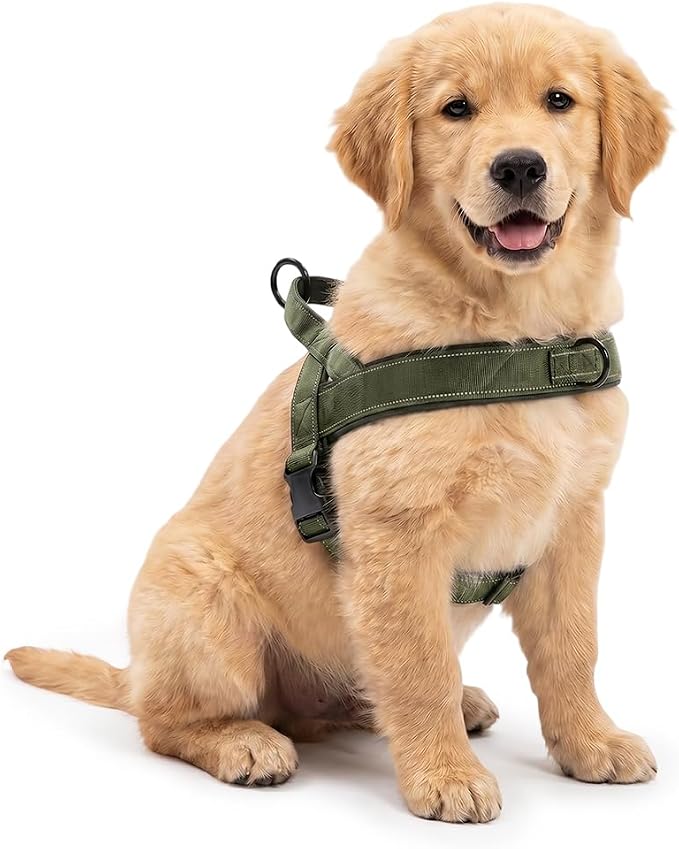 No-Pull Dog Harness with Handle, Adjustable Reflective Pet Vest Tactical Harness for Small Medium Large Dogs Walking Training, Front Clip, Escape Proof & Heavy Duty D-Ring (Green, M)