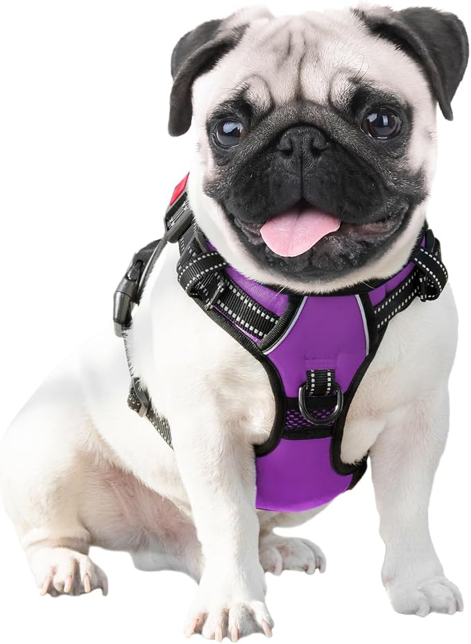 Reflective Dog Harness Large Breed Adjustable No Pull Vest | with Handle 2 Metal Rings 3 Buckles [Easy to Put on & Take off](L, Purple)