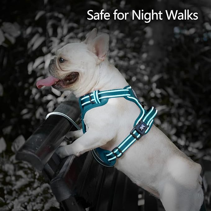 PoyPet No Pull Dog Harness, Reflective Vest with 2 Leash Clips & Handle | Lockable Neck Release Buckle, No Choke, Adjustable, Soft Padded, for Walking Training, Tumalo Teal, Small