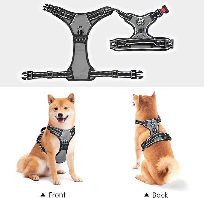 PoyPet No Pull Dog Harness Small with Front Clip & Neck Release Buckle | No Choke, Adjustable Vest, Reflective, Back Clip, Lockable, Soft Padded, Easy Control Handle for Walking Training, XS, Grey