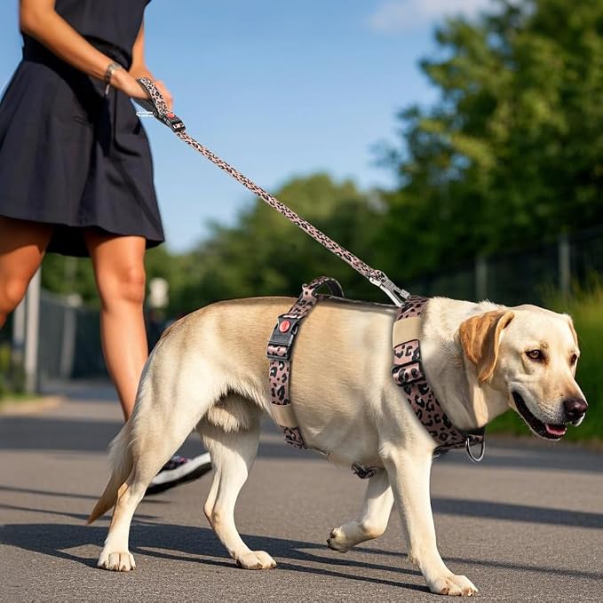 TSPRO Tactical Heavy Duty Dog Harness, Quick Release Buckle & Top Handle | Premium No Pull Dog Vest Harnesses, Adjustable, Soft Padded Lining, 1.25-Inch Wide for Medium Large Dogs, Walking & Training
