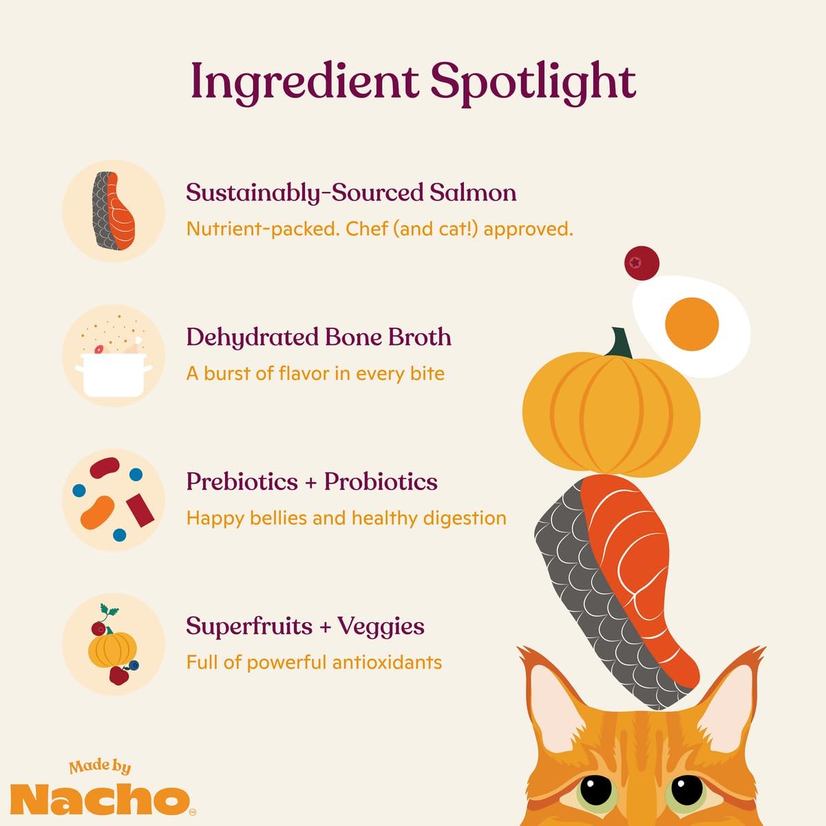 Made by Nacho Dry Cat Kibble 4lb Bag, High Protein and Grain-Friendly Premium Cat Food, Sustainably Caught Salmon and Pumpkin, Infused with Bone Broth for Hydration, Limited Ingredients, Single Bag