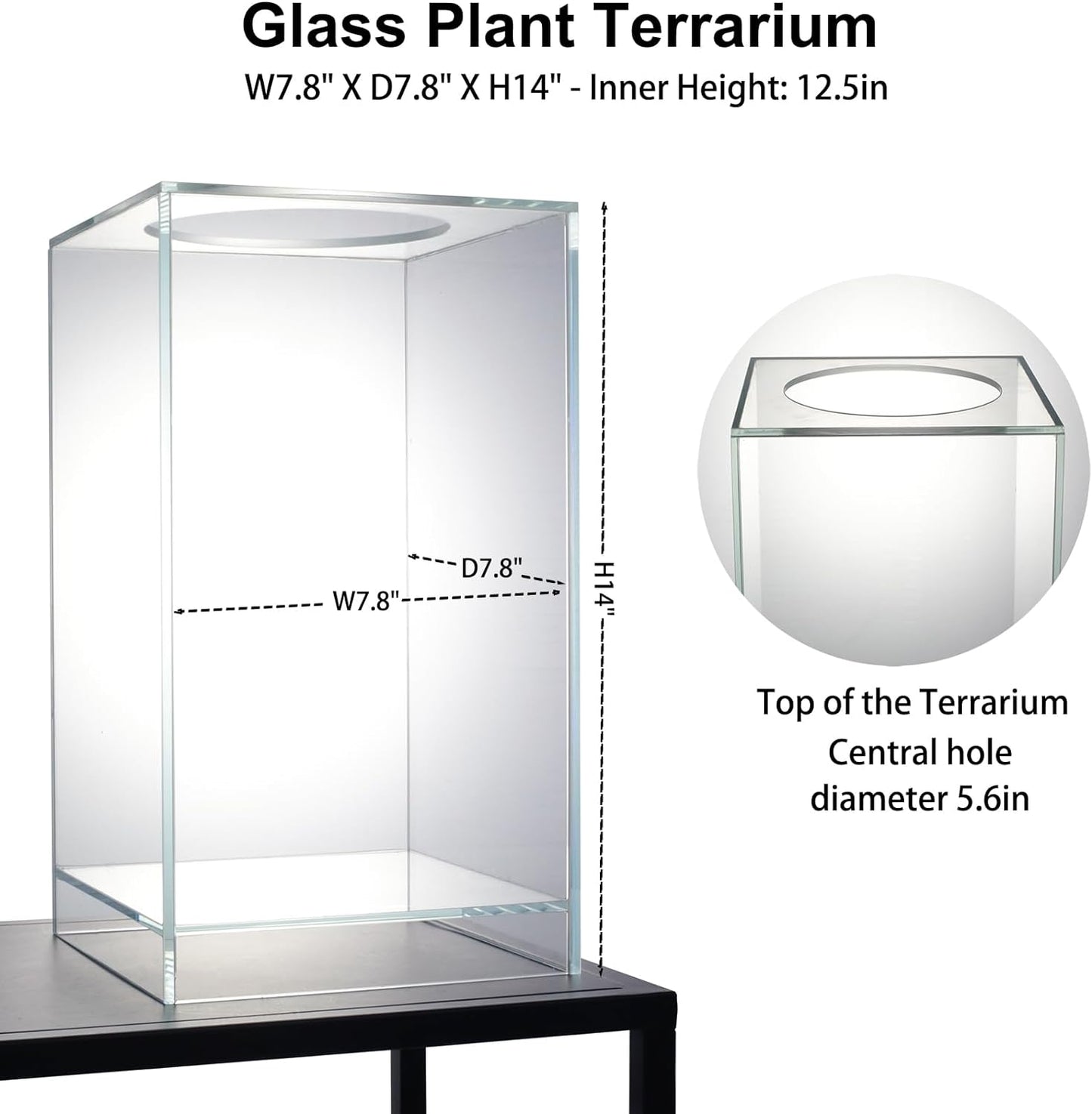 Desktop Glass Plant Terrarium with Grow Light(L7.8 W7.8 H14), for Succulent, Moss, Miniature Gardening Landscape, Betta Fish Tank, Indoor Plant Growth, Office Home Decoration (TimeControlled)