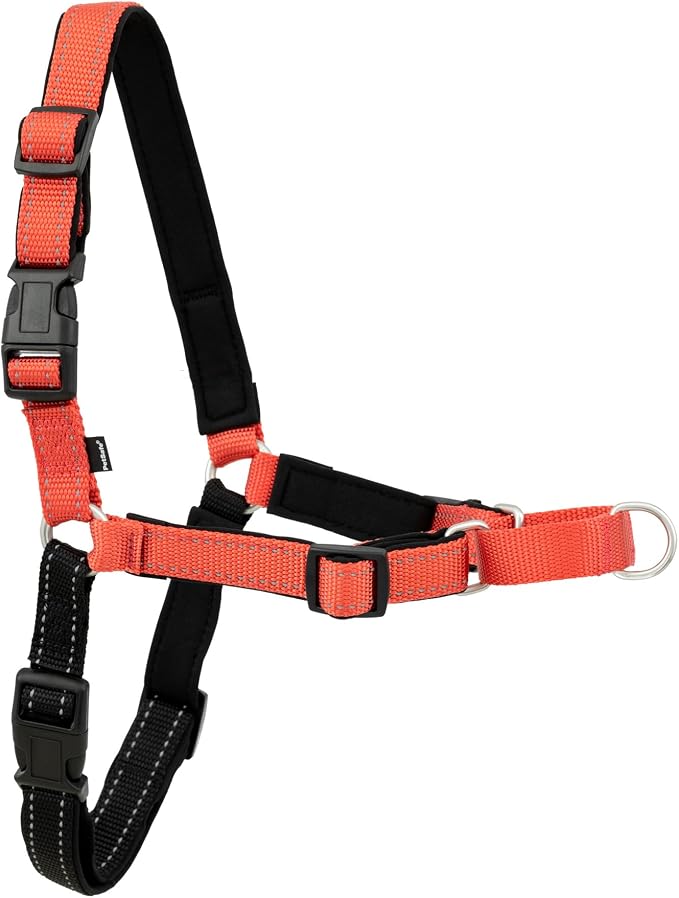 Petsafe Deluxe Easy Walk Harness, Large, Rose Pink, EWH-D-HC-L-RSE | Padded Neoprene Straps, Reflective Strips for Night Safety, Martingale Loop Curbs Pulling from the Chest, Not the Throat