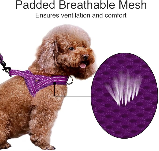 Plutus Pet No Pull Dog Harness for Medium Sized Dog, Breathable Mesh Padded | Adjustable Reflective with Handle, Escape Proof, Quick Fit Pet Vest, Front Clip, for Training and Walking, Purple, M