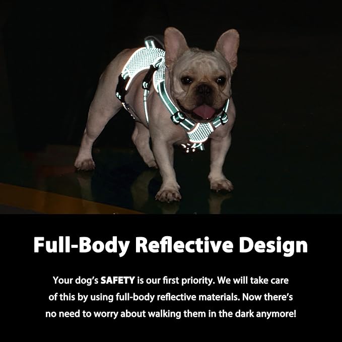 Escape Proof Dog Harness, Dachshund Harness, Reflective Dog Harness with Handle, Durable,Adjustable Vest for Small Medium Large Dogs Walking, Training, and Running Gear (Mint Green,XL)