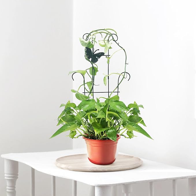 23 Inch Plant Trellis for Potted Plants, Sturdy Metal Houseplant Trellis for Climbing Plants Indoor Outdoor, Rust-Resistant Plant Support for Monstera Pothos Ivy, 4 Pack (4, 23inch)