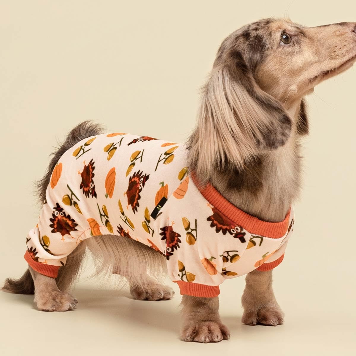 Fitwarm Thanksgiving Turkey Dog Pajamas, Funny Dog Winter Clothes for Small Dogs Girl Boy, Pet Jumpsuit, Cat Onesie with Feet, Lightweight Velvet, Orange, Large