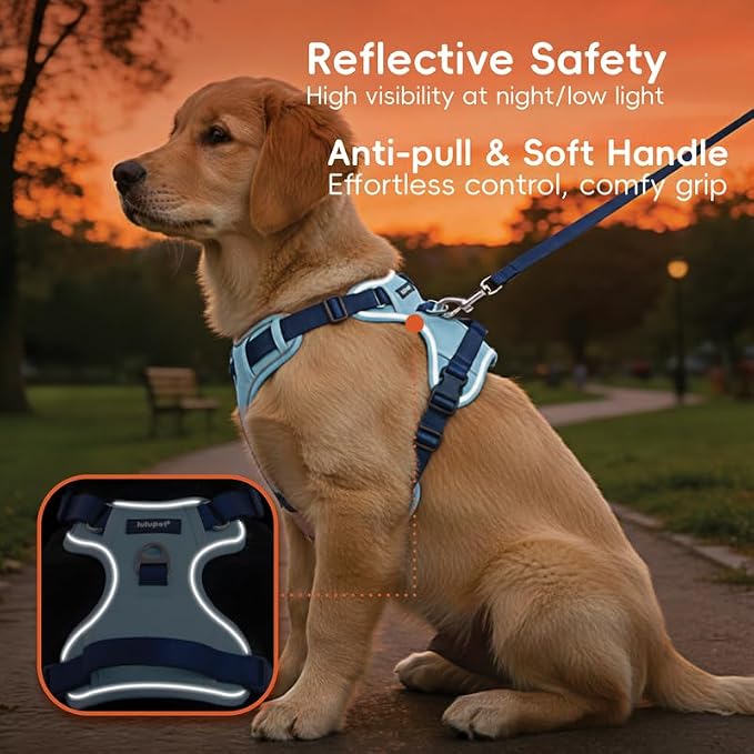Dog Harness and Leash Set with Collar, No Pull Reflective Pet Vest Harness with Control Handle for Medium Large Dogs Walking and Training