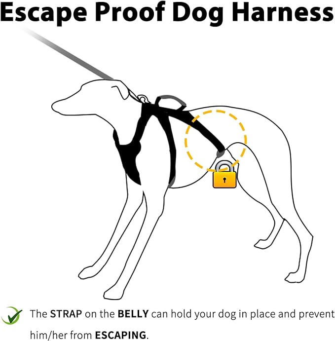Escape Proof Dog Harness, Secure Dog Harness No Escape,Fully Reflective Harness with Handle,Breathable,Durable,Adjustable Vest for Small Dogs Walking,Training & Running Gear(Lavender Purple,S)