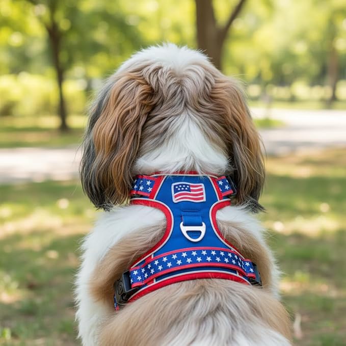 Small Dog Harness No Pull, Puppy Harness with 3 Quick Snap Buckles, Escape Proof Easy Walk Vest for Pug, Mini Schnauzer, Lightweight Tactical Pet Doggy Gear with Handle (S Size)
