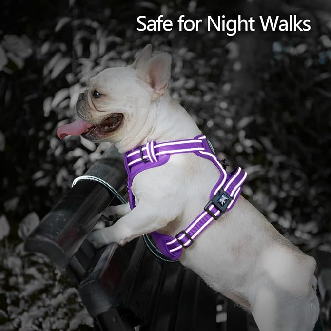 PoyPet No Pull Dog Harness, Reflective Vest with 2 Leash Clips & Handle | Lockable Neck Release Buckle, No Choke, Adjustable, Soft Padded, for Walking Training, Purple Matching Trim, Small