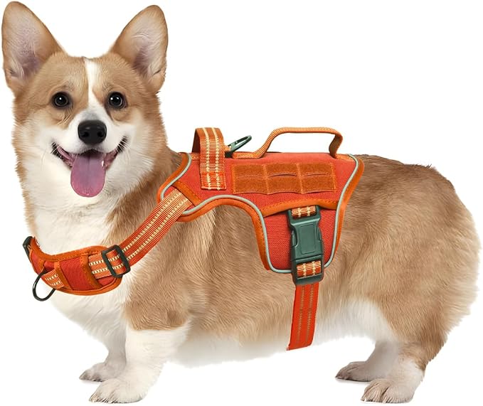 Dog Harness, Tactical No Pull for Small Sized Dog with Handle | Breathable Soft Padded, Adjustable, Reflective, Molle System, Heavy Duty, No Choke for Walking Training, Orange Small