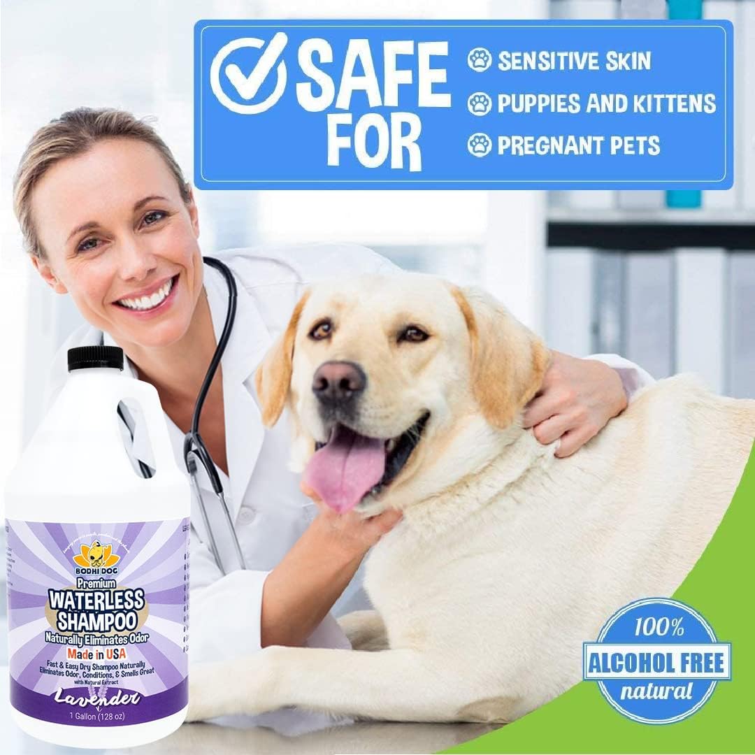Bodhi Dog Waterless Shampoo - Natural Dry Shampoo for Dogs & Cats - Neutralizes Pet Odor - No Rinse Required - Made of Natural Extracts - Safe for Sensitive Skin - Made in USA - Lavender (1 Gallon)