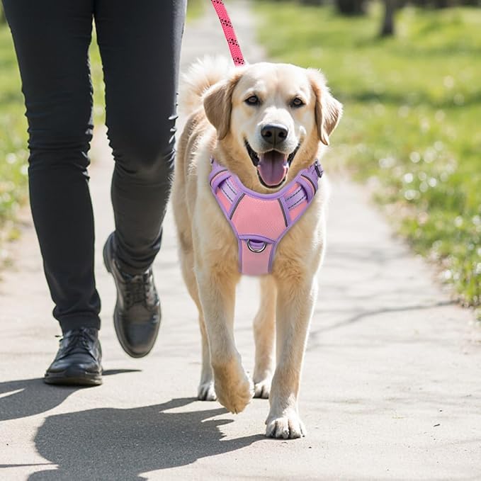 BARKBAY No Pull Dog Harness Large Reflective Dog Harness with Front Clip and Easy Control Handle for Walking Training Running with ID tag Pocket(Baby Pink & Violet Purple,L)