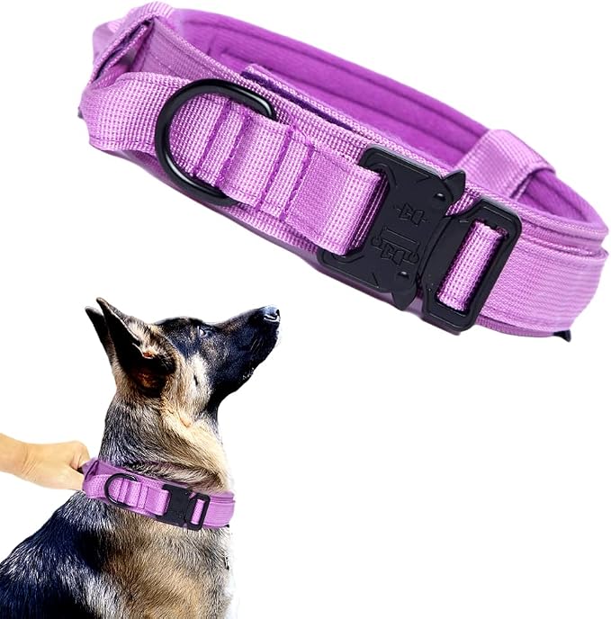 Tactical Dog Collar for Large Dogs with Control Handle,Purple,M | 1000D Heavy-Duty Nylon Fabric,Quick-Release Metal Buckle,Adjustable Fit,Soft-Padded Webbing,D-Ring,for Training & Hiking