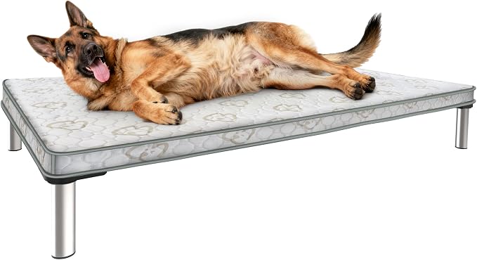 FXW TitanNest Cooling Chew-Proof Elevated Dog Bed with Cover for Large Dogs | Easy to Clean, Pre-assembly Raised Cot, Indoor/Outdoor/Camping, 47 x 29 x 7.3in