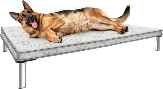 FXW TitanNest Cooling Chew-Proof Elevated Dog Bed with Cover for Large Dogs | Easy to Clean, Pre-assembly Raised Cot, Indoor/Outdoor/Camping, 47 x 29 x 7.3in
