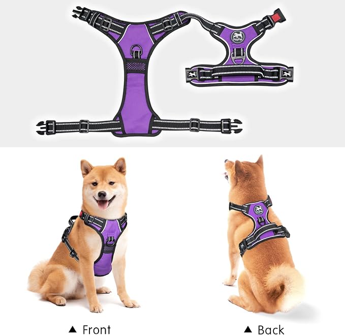 PoyPet No Pull Dog Harness Small with Front Clip & Neck Release Buckle | No Choke, Adjustable Vest, Reflective, Back Clip, Lockable, Soft Padded, Easy Control Handle for Walking Training, S, Purple