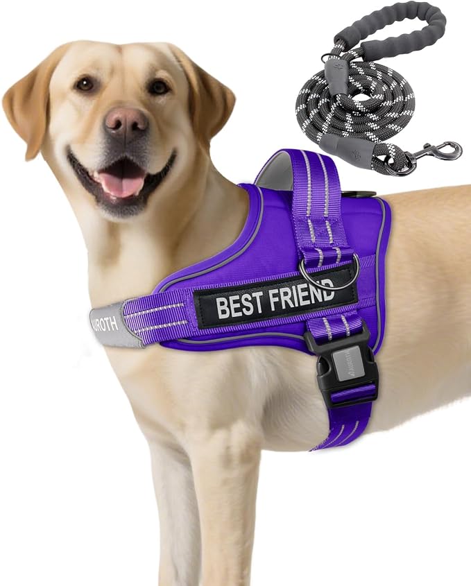 AUROTH Dog Harness and Leash Set for Large Sized Dog, No Pull Dog Vest | with Leash Clips, LED light clip, Soft Padded No Choke, Escape Proof, Easy Walking and Training, Purple, XL