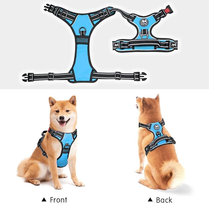PoyPet No Pull Dog Harness Large with Front Clip & Neck Release Buckle | No Choke, Adjustable Vest, Reflective, Back Clip, Lockable, Soft Padded Handle for Walking Training, XL, Light Blue