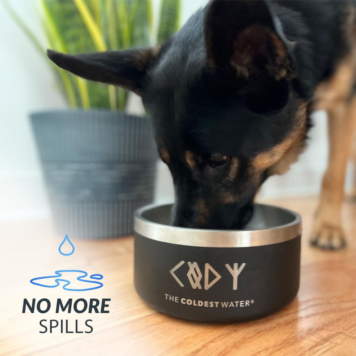 Coldest Dog Bowl - Anti Rust Metal, Non Slip, 3 Layers Insulated Stainless Steel Dog Bowls - Spill Proof & Heavy Duty - Water Bowl for Dogs, Cats & Pets, Dish Washer Safe (21 oz, Stardust Glitter)