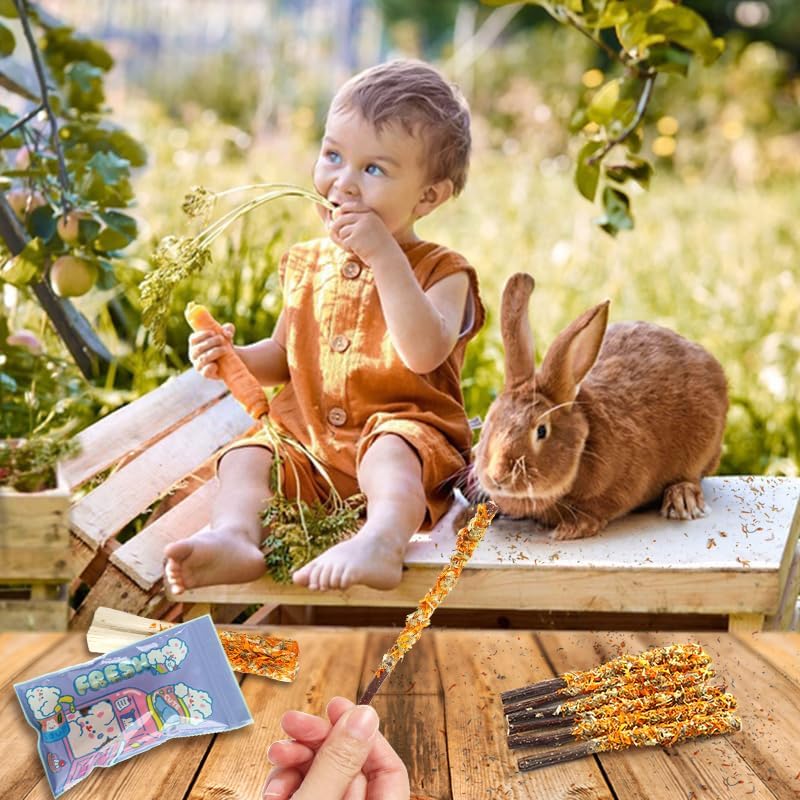 Apple Sticks for Rabbits, Natural Bunny Chew Toys Wood Treats Food for Small Animals,Hamsters, Chinchillas Squirrel Bunny Guinea Pigs Small Pet Apple Chew Sticks