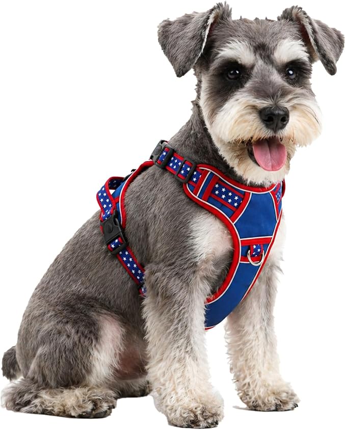 Small Dog Harness No Pull, Puppy Harness with 3 Quick Snap Buckles, Escape Proof Easy Walk Vest for Pug, Mini Schnauzer, Lightweight Tactical Pet Doggy Gear with Handle (S Size)