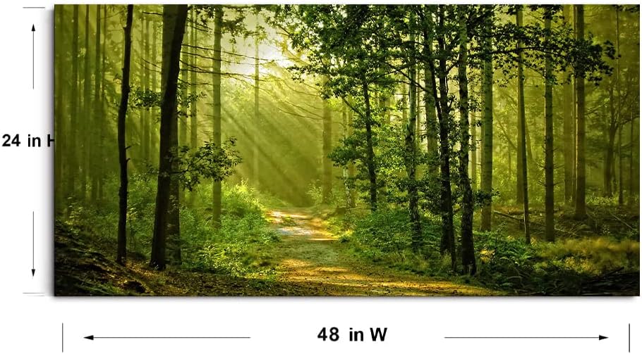 Green Morning Sunlight Forest Scenery Canvas Wall Art for Bedroom Home,Beautiful Silent Summer Woods Picture Print Artwork Painting Decor,Mordern Realism Rustic Wilderness Landscape,Inner Frame 24x48