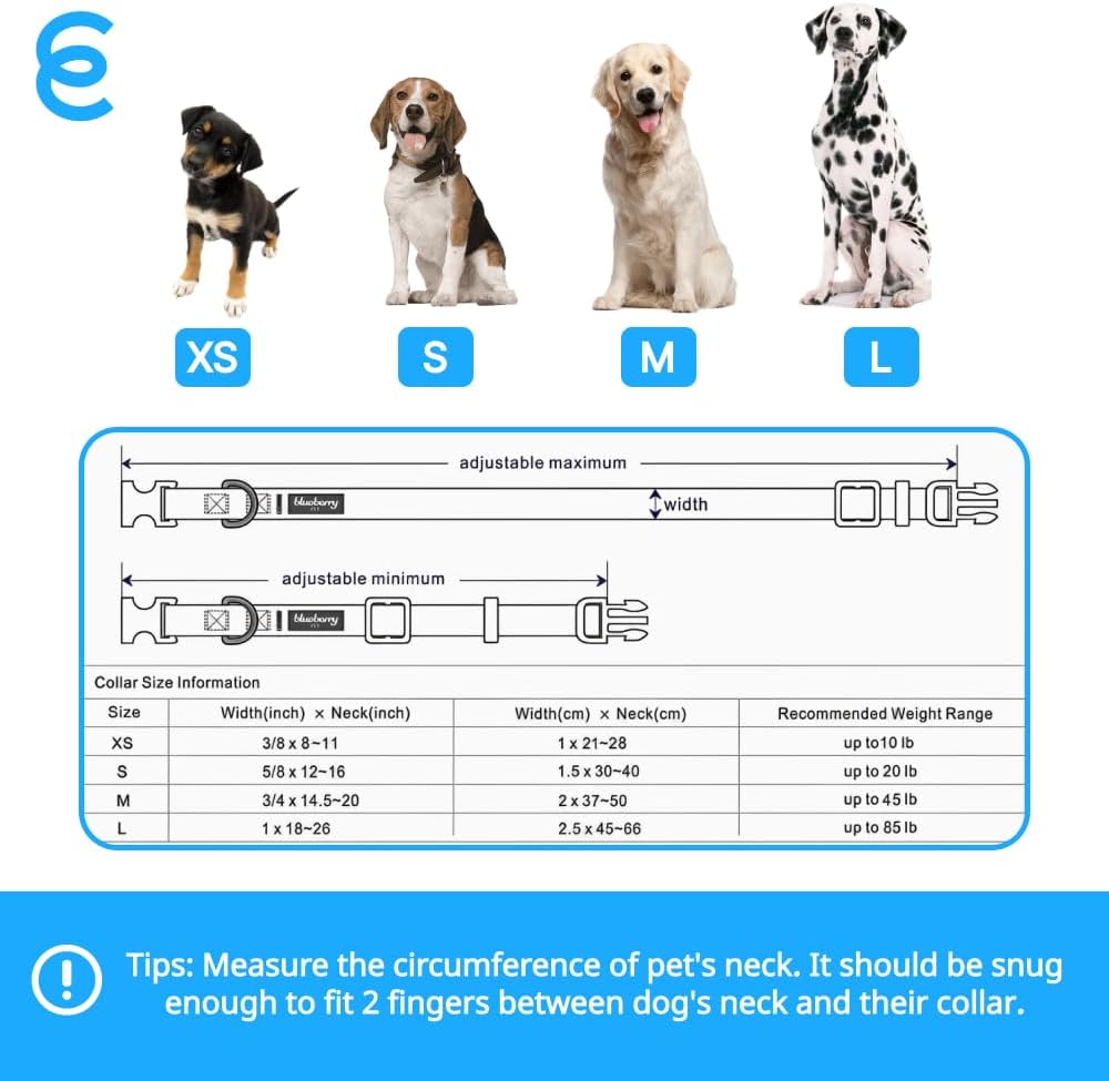 Blueberry Pet Essentials X-Small Dog Collar in Mint Blue | Adjustable & Eco-Friendly Durable Nylon Strap | Classic Collar for X-Small Dogs, Boy & Girl Pets