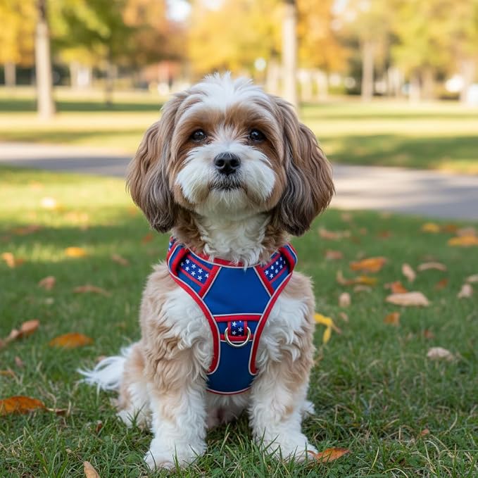 Small Dog Harness No Pull, Puppy Harness with 3 Quick Snap Buckles, Escape Proof Easy Walk Vest for Pug, Mini Schnauzer, Lightweight Tactical Pet Doggy Gear with Handle (S Size)
