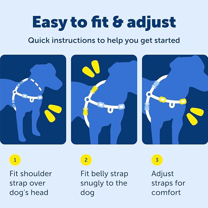 PetSafe Easy Walk Harness, No Pull Dog Harness, Apple Green, Medium/Large | Patented Martingale Loop Gives Gradual Shoulder Pressure to Stop Pulling, Front-Chest Leash Clip Prevents Gagging