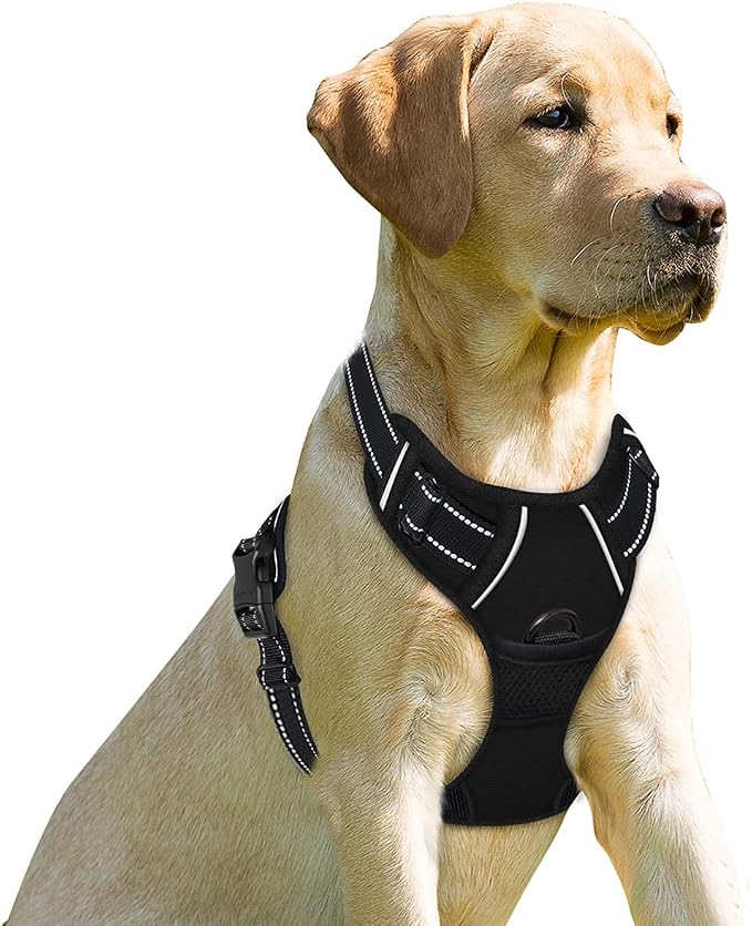 BARKBAY Dog Harness No Pull for Small Sized Dog Front Back Clips,Dog Vest | Soft Padded No Choke With Handle,Easy On&Off,Adjustable Reflective For Walking Training Running(Black,XS)