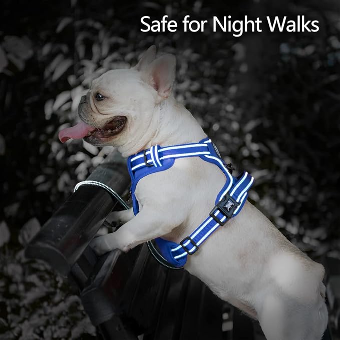 PoyPet No Pull Dog Harness, Reflective Vest with 2 Leash Clips & Handle | Lockable Neck Release Buckle, No Choke, Adjustable, Soft Padded, for Walking Training, Royal Blue, Small
