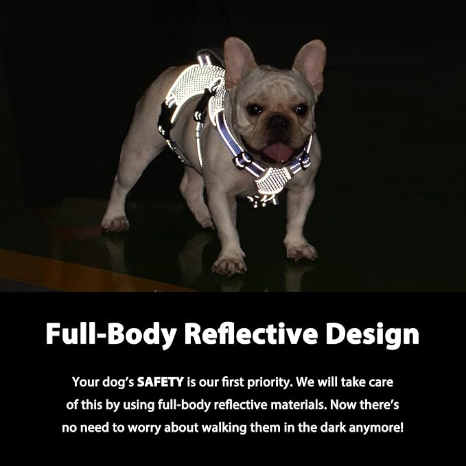 Escape Proof Dog Harness, Dachshund Harness, Reflective Dog Harness with Handle, Durable,Adjustable Vest for Small Medium Large Dogs Walking, Training, and Running Gear (Technicolor Blue,L)