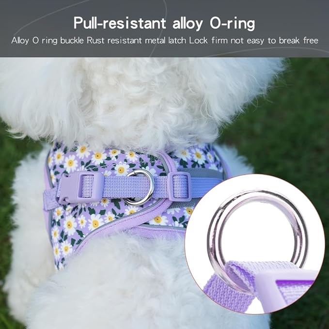 Step in Dog Harness and Leash Set, Flower Adjustable Easy Walk Puppy Harnesses, Soft Mesh No Pull Pet Vest Harness for Small Dogs and Cats(Daisy, XS)