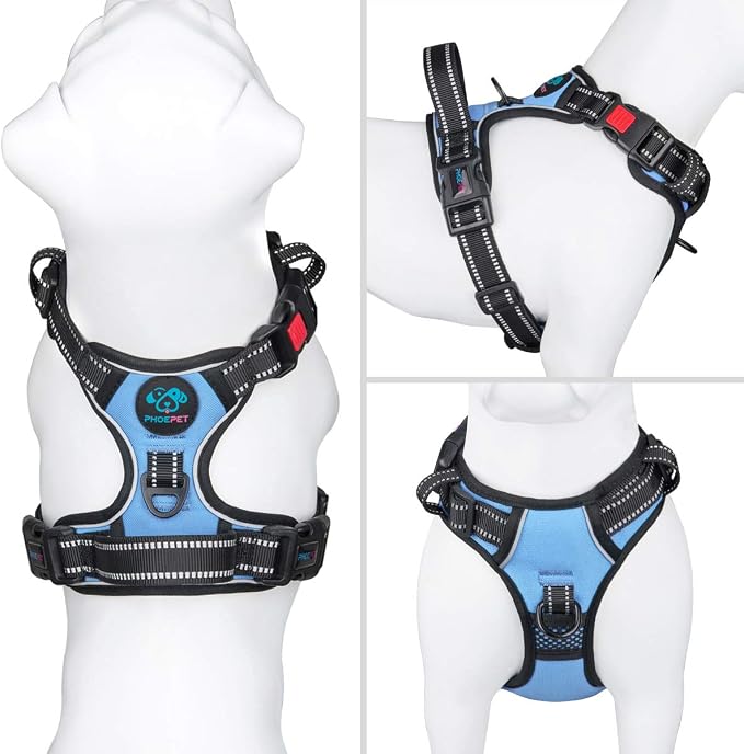 No Pull Dog Harness Reflective Adjustable Vest with Training Handle | Name ID Pocket, 2 Metal Leash Hooks, 3 Snap Buckles [Easy to Put on & Take Off](M, Baby Blue)