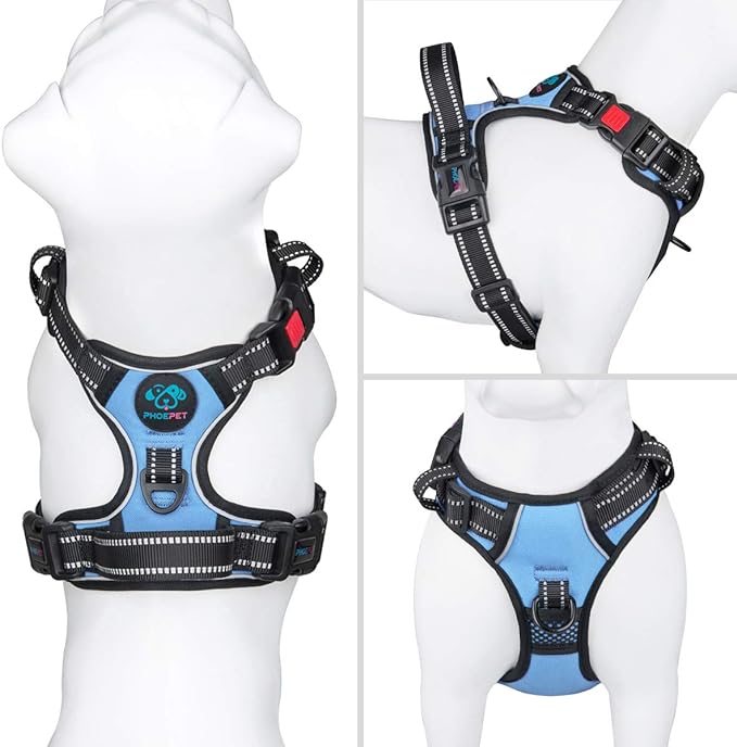 No Pull Dog Harness Reflective Adjustable Vest with Training Handle | Name ID Pocket, 2 Metal Leash Hooks, 3 Snap Buckles [Easy to Put on & Take Off](XS, Baby Blue)